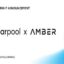 Amber se asocia con Clearpool para convertirse en prestataria del protocolo